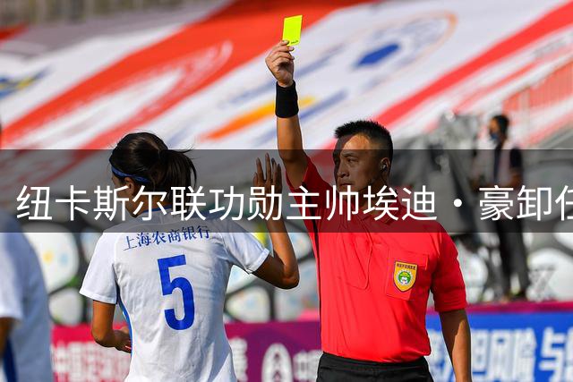 纽卡斯尔联功勋主帅埃迪·豪卸任 继任者人选浮出水面