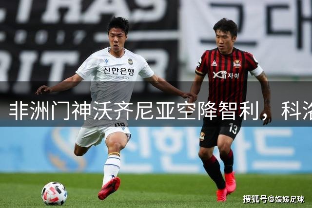 非洲门神沃齐尼亚空降智利，科洛科洛喜迎新守护神